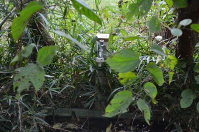 庭の植栽 - 里山小屋 （クラインガルテン）の室内の写真