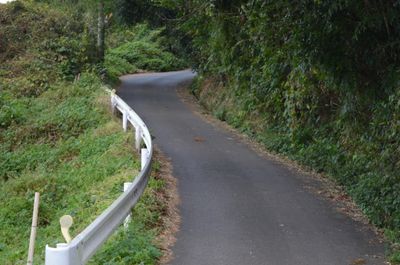 経由する林道 - 里山小屋 （クラインガルテン）の入口の写真