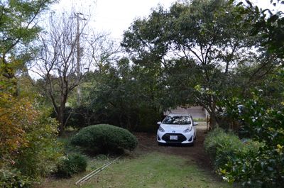 小屋から門を望む - 里山小屋 （クラインガルテン）の外観の写真