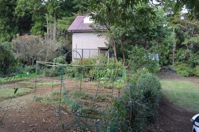 門から小屋を望む - 里山小屋 （クラインガルテン）の外観の写真