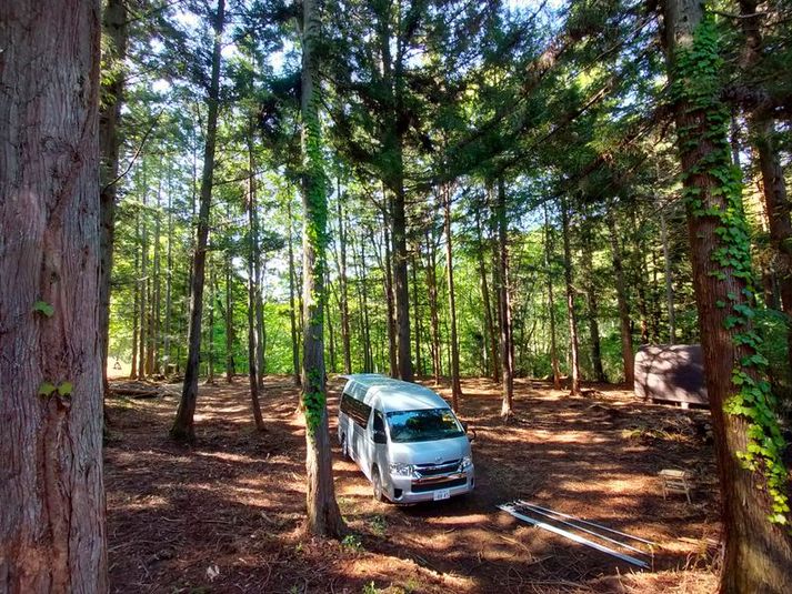 オーサムネイチャーキャンプスタジオ - オーサムネイチャーキャンプスタジオ