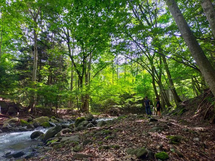 オーサムネイチャーキャンプスタジオ - オーサムネイチャーキャンプスタジオ
