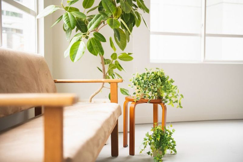  #スタジオClara《人数変動プラン》【外苑前/北参道】 - #スタジオClara【外苑前/千駄ヶ谷/原宿】_080