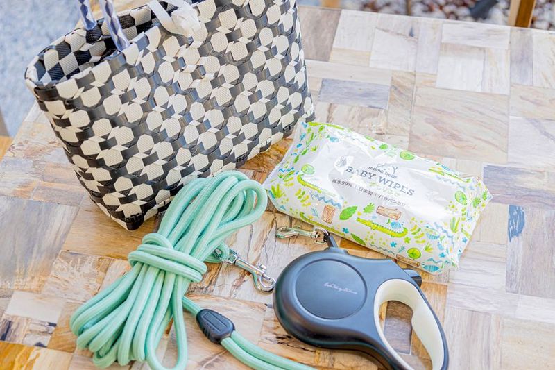 1棟貸切ドッグコテージでお友達とわんちゃんとの過ごす休暇に！ - イノセンスリゾート～in千葉レゾール～