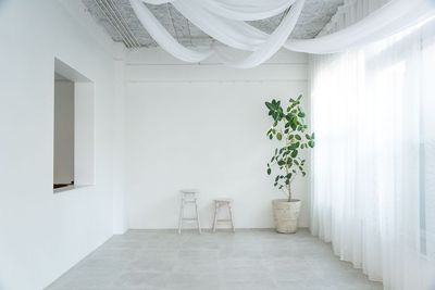 大きな窓から自然光が差し込む真っ白な空間 - ギャラリー&スタジオnolla 銀座・築地の室内の写真