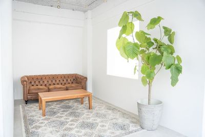 壁側はソファがありインタビュー撮影にも最適です - ギャラリー&スタジオnolla 銀座・築地の室内の写真