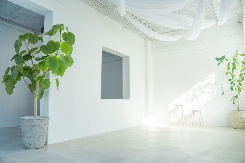 ギャラリー&スタジオnolla 銀座・築地 - ギャラリー&スタジオnolla 銀座・築地