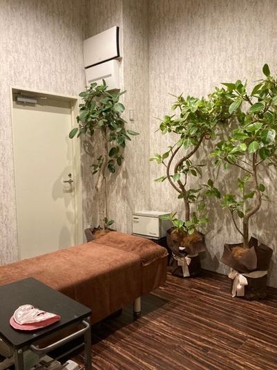 札幌市中心部の新築シェアサロン！駅近、高級住宅街で立地最高！ - Monica