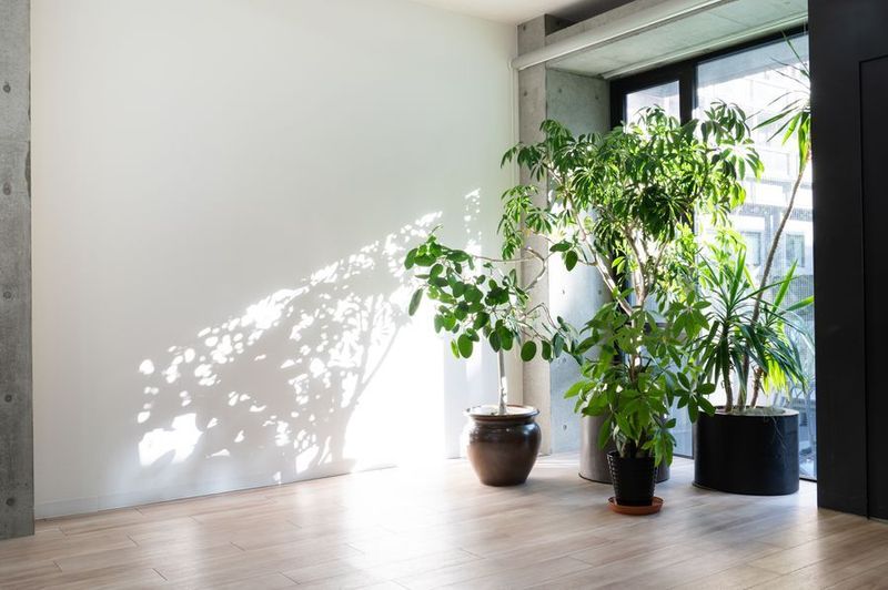 レンタルスペース Gallery Jinnan【動画撮影プラン】 - レンタルスペース　GalleryJinnan　ギャラリージンナン