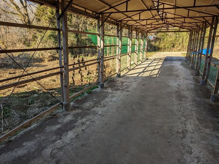 森の中の空き地（約200坪、約14坪の建屋あり、一部畑に利用中） - 小林養鶏農園