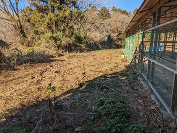 2023/12/25現在 - 小林養鶏農園 森の中の空き地（約200坪、約14坪の建屋あり、一部畑に利用中）の室内の写真