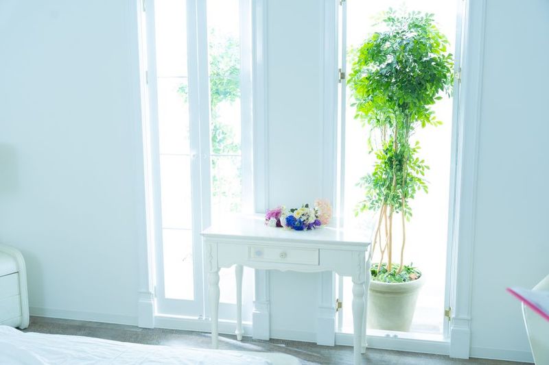 撮影レンタルスタジオ（Fスタジオ） - MONOスタジオ