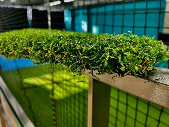 【2名以上定額】屋内スポーツ施設・調布駅・西調布駅 - パムズ・スポーツスタジオ