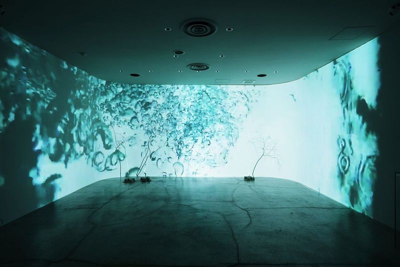 Outside studio - Outside studio プロジェクターを映せるスタジオ