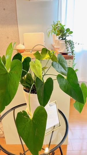 レンタルサロンumi【うみ】 - レンタルサロンumi