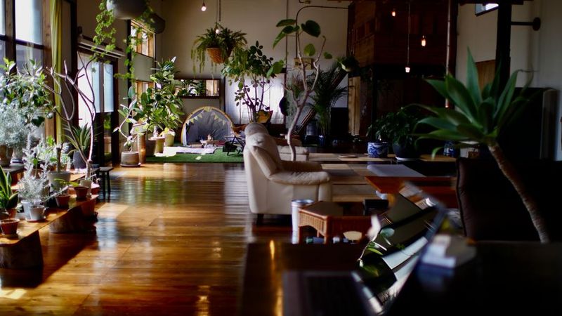 １棟貸し多目的スペース　space  momo - １棟貸し多目的スペース　space  momo