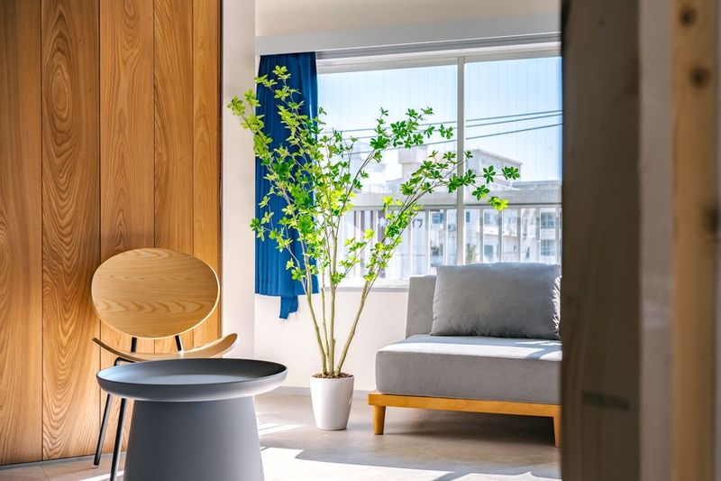 撮影スタジオ - 458_COCOTORU新小岩