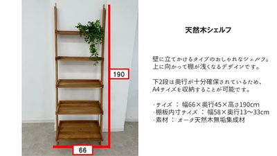 動画撮影の風景にもぴったり - 都内の白ホリ自然光 撮影スタジオ 白壁×アーチ×植物×ブランコ｜感情を引き出す光のスタジオの設備の写真