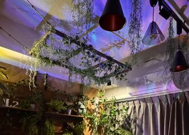 ライトアップで夜桜のムーディーな雰囲気でも。 - プランツ プランツ飯田橋 グリーンとアロマに囲まれたボタニカル風リラックスシネマスペースの室内の写真