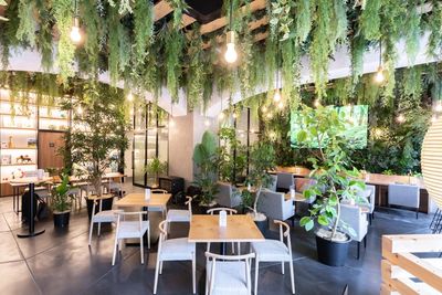 AOU銀座の森 緑あふれるカフェスペースの室内の写真