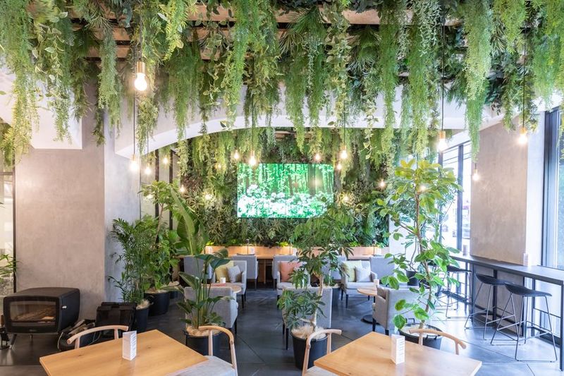 緑あふれるカフェスペース - AOU銀座の森