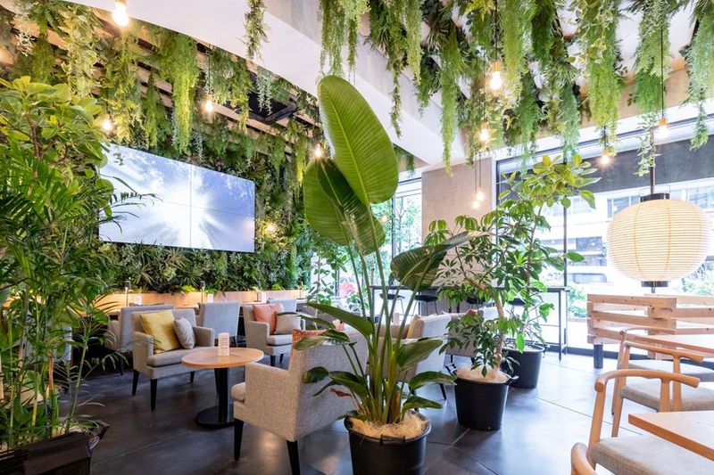緑あふれる店内 - AOU銀座の森 緑あふれるカフェスペースの室内の写真