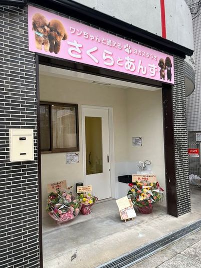 小型〜大型までワンちゃんOKレンタルスペース - ワンちゃんと通えるヨガスタジオ　さくらとあんず