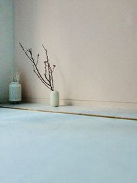 桃色壁色、と、桃の花 - -lull- share studio ルル　シェアスタジオの室内の写真