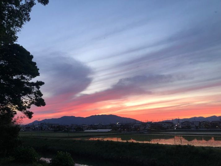 jitarikiアウトドアレンタルスペース - jitariki base ❝God Garden❞　