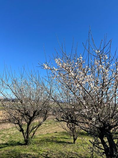 jitarikiアウトドアレンタルスペース - jitariki base ❝God Garden❞　