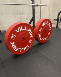 女性向けの軽くてサイズが通常プレートと同じテクニックプレート - GORILLA HUB KOMAGOME | ゴリラハブ駒込 【2名まで】駒込駅徒歩6分の④ウエイトリフティングスペースの設備の写真