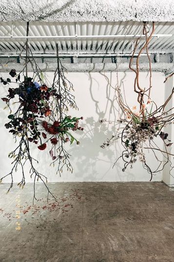 スタジオ汽水【代々木上原駅0.5分】白壁/自然光/コンクリ床 - 汽水