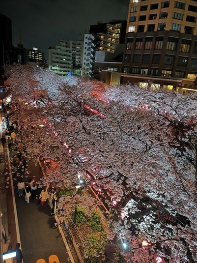 中目黒 レンタルサロンpono(ポノ) - pono.3588