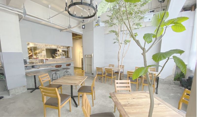 TR  STUDIO - TR STUDIO