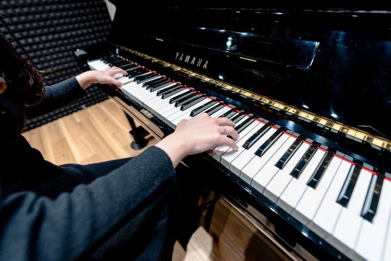 音楽ルーム（ルービー 雪が谷大塚305号室） - ルービー 雪が谷大塚