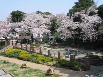 徒歩圏の横浜元町公園は、絶好の花見スポットです！ - 公式 | 横浜元町・石川町 撮影スタジオ Petit Roomのその他の写真