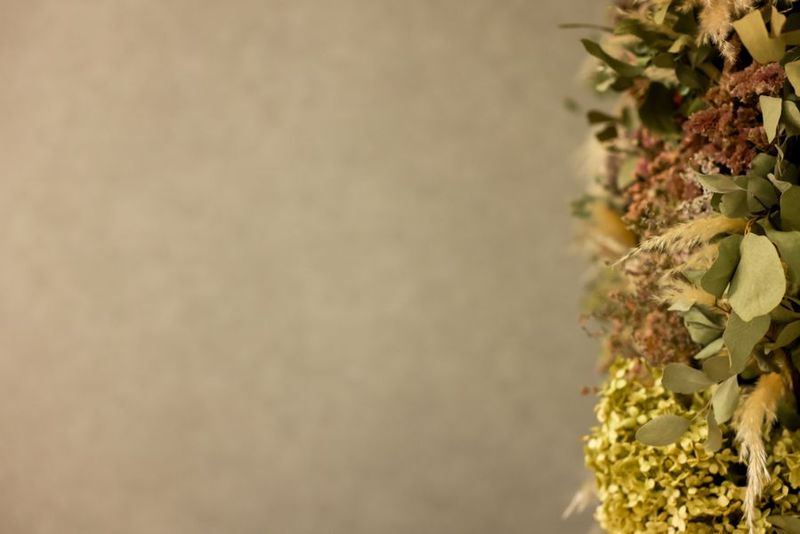 撮影レンタルスペース - フォトスタジオ　エヌプラス