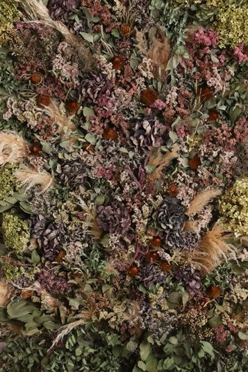 撮影レンタルスペース - フォトスタジオ　エヌプラス