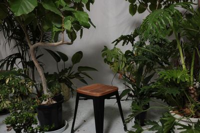 HACONiWA 港区　撮影スタジオ レンタルスタジオの室内の写真