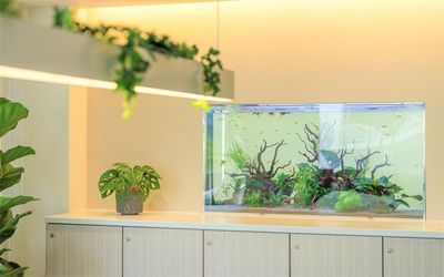 季節ごとに趣の変わる水槽に癒されます - Gran-S東戸塚 一日使えるお得プラン！フリースペース土曜・日曜9時～17時。の室内の写真