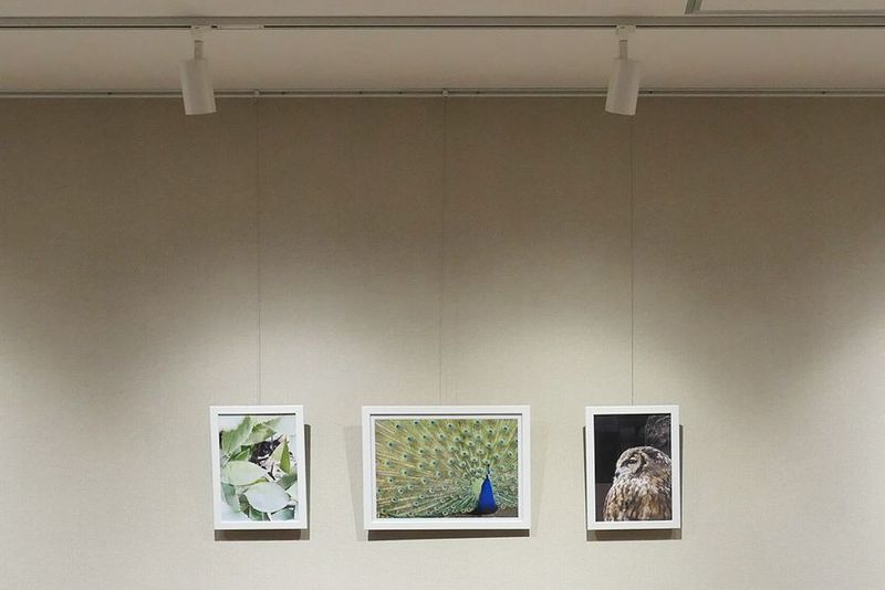 イベントスペース（1時間～／1日プラン） - Space KURURU by Breath