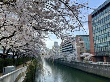 桜がとてもきれいな目黒川のすぐ近く✨お花見の後、お酒やコーヒーを飲みながらプライベートシアターいかがですか？🌸 - 467_シアタールームJIZAI目黒 レンタルスペースのその他の写真