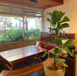窓辺のグリーンに癒されます - カフェ ZUTTO-COFFEE カフェZUTTO‐COFFEE レンタルスペースの室内の写真