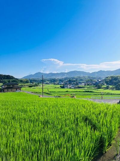 淡路市の高台にあるセミナースペース - ウッドランドアカデミー神戸研修センター