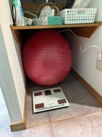 バランスボール - RAKUNA 神田・秋葉原 完全個室プライベートジムの室内の写真