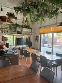 GROVE cafe&green　グローブ カフェ＆グリーン NYで修業したシェフが作る一軒家Cafeの2階です！の室内の写真