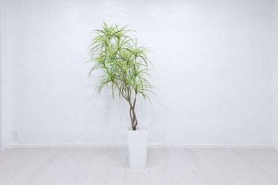 jaru studio jarustudioの室内の写真