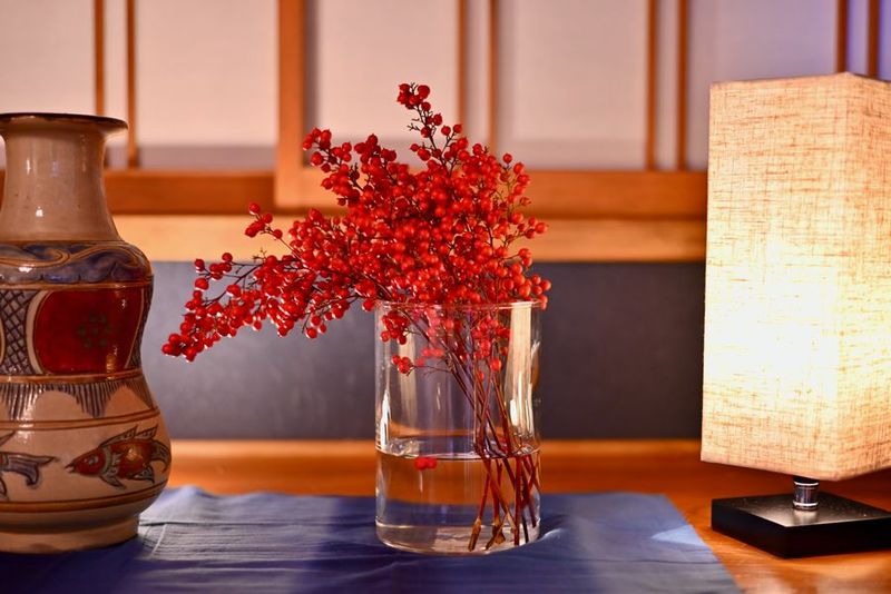 【星５☆連発】都内の高級ヴィラ1.2階貸切プラン＠谷中（日暮里） - 星５連発の谷中の高級ヴィラ（ビューティー&ヴィラスペース）