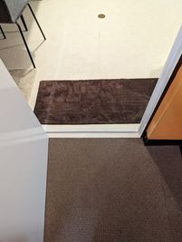 靴は茶色のマットまで - rental lounge御茶ノ水の入口の写真