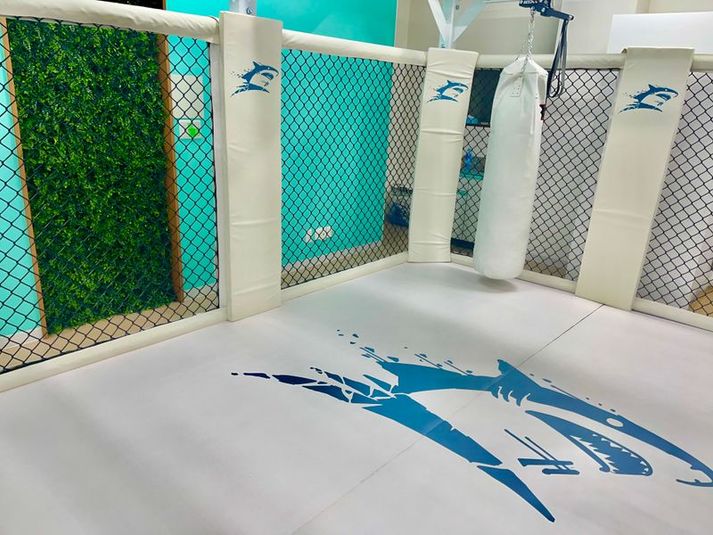 マシーン充実！格闘技の練習もできる総合フィットネスジム！ - シャークスタイルジム本八幡店